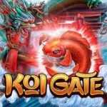 Koi Gate habanero Slot Game